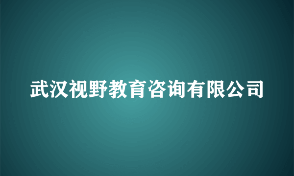 武汉视野教育咨询有限公司