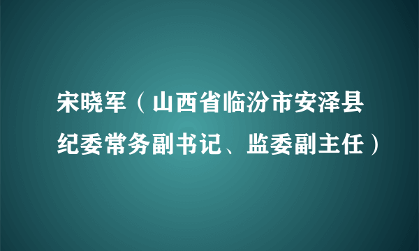 宋晓军（山西省临汾市安泽县纪委常务副书记、监委副主任）