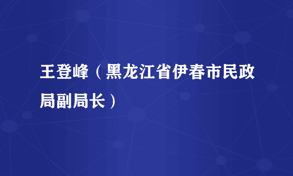 王登峰（黑龙江省伊春市民政局副局长）