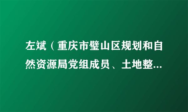 左斌（重庆市璧山区规划和自然资源局党组成员、土地整治储备中心主任）