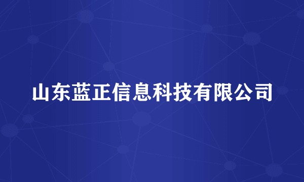 山东蓝正信息科技有限公司