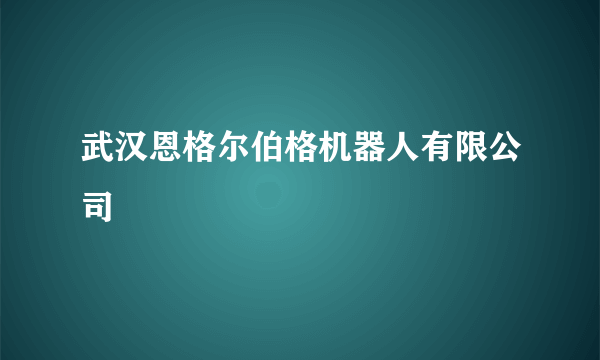 武汉恩格尔伯格机器人有限公司