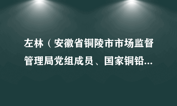 左林（安徽省铜陵市市场监督管理局党组成员、国家铜铅锌及制品质量检验检测中心主任）