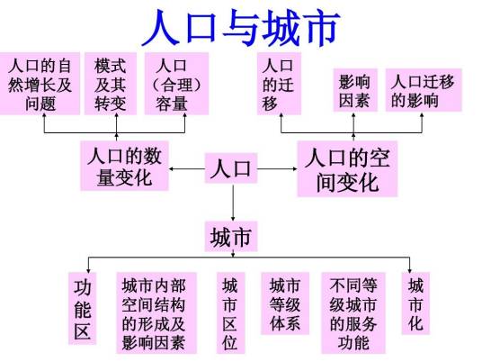 人口结构体系