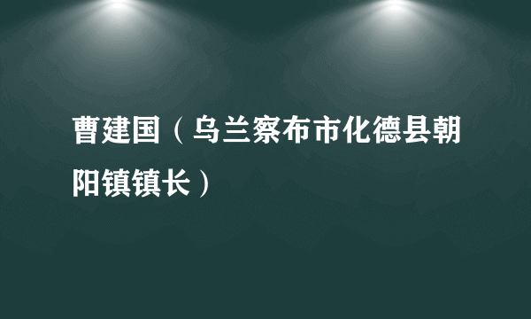 曹建国（乌兰察布市化德县朝阳镇镇长）