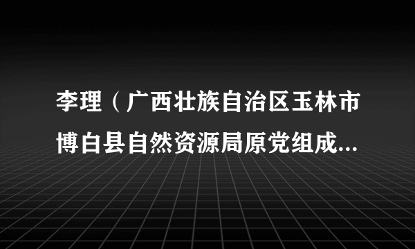 李理（广西壮族自治区玉林市博白县自然资源局原党组成员、副局长）