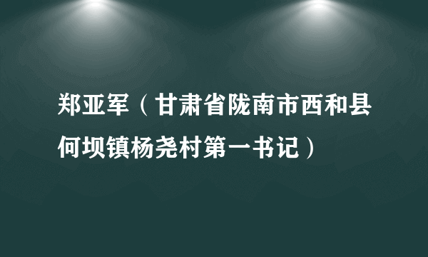 郑亚军（甘肃省陇南市西和县何坝镇杨尧村第一书记）