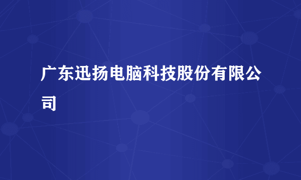 广东迅扬电脑科技股份有限公司