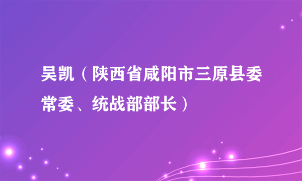 吴凯（陕西省咸阳市三原县委常委、统战部部长）