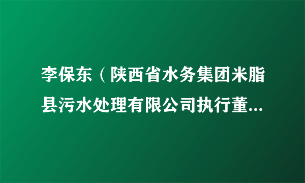 李保东（陕西省水务集团米脂县污水处理有限公司执行董事兼总经理）