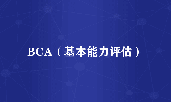 BCA（基本能力评估）