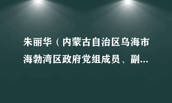 朱丽华（内蒙古自治区乌海市海勃湾区政府党组成员、副区长，区发展和改革委员会党组书记、主任）