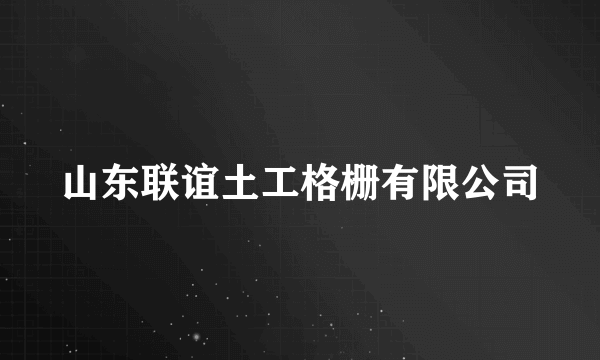 山东联谊土工格栅有限公司