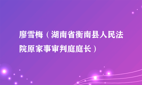 廖雪梅（湖南省衡南县人民法院原家事审判庭庭长）