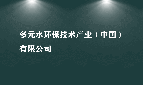 多元水环保技术产业（中国）有限公司