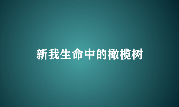 新我生命中的橄榄树