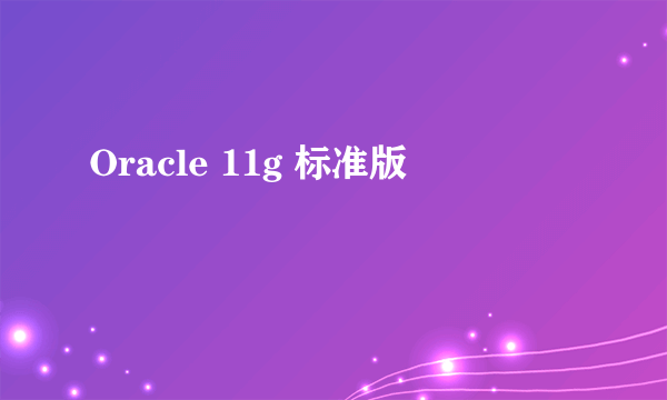 Oracle 11g 标准版