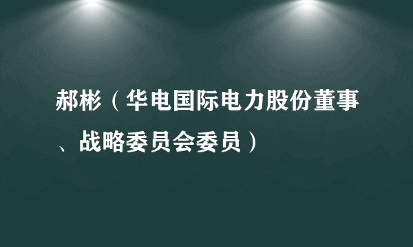 郝彬（华电国际电力股份董事、战略委员会委员）