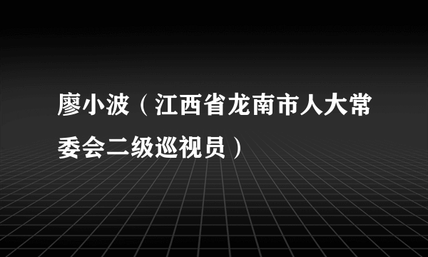 廖小波（江西省龙南市人大常委会二级巡视员）