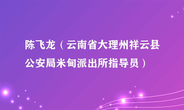 陈飞龙（云南省大理州祥云县公安局米甸派出所指导员）