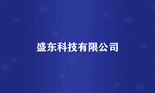 盛东科技有限公司