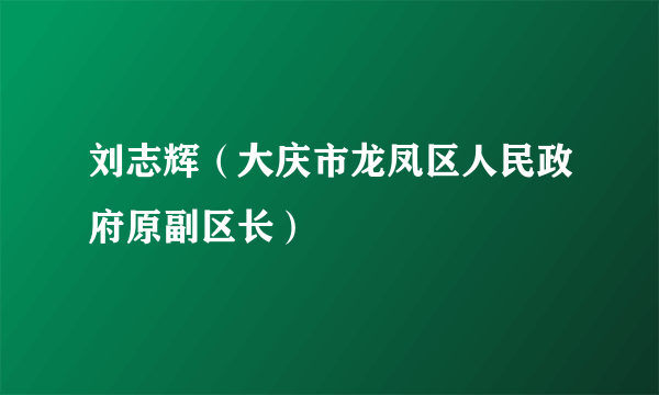 刘志辉（大庆市龙凤区人民政府原副区长）