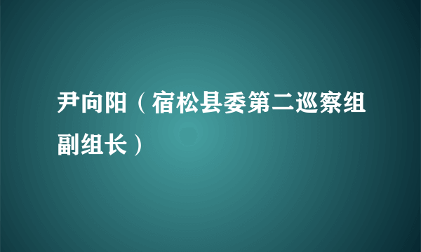 尹向阳（宿松县委第二巡察组副组长）