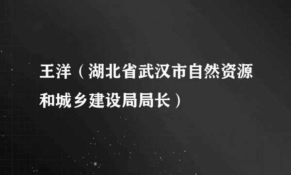 王洋（湖北省武汉市自然资源和城乡建设局局长）