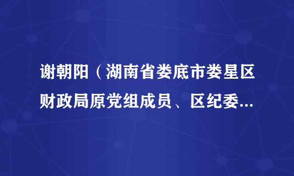 谢朝阳（湖南省娄底市娄星区财政局原党组成员、区纪委监委派驻区财政局纪检监察组组长）