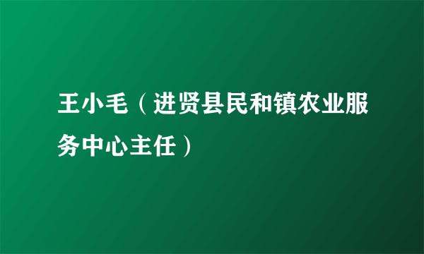 王小毛（进贤县民和镇农业服务中心主任）