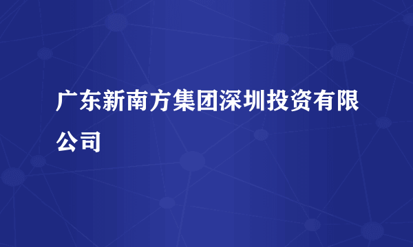 广东新南方集团深圳投资有限公司