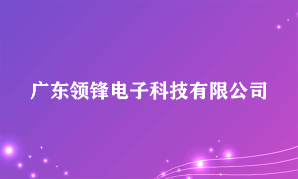 广东领锋电子科技有限公司