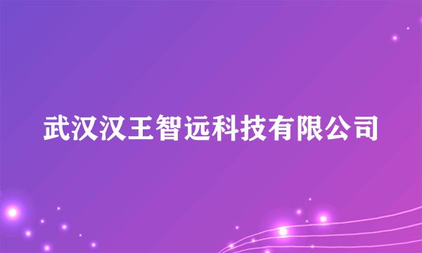 武汉汉王智远科技有限公司