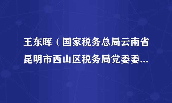 王东晖（国家税务总局云南省昆明市西山区税务局党委委员、副局长）