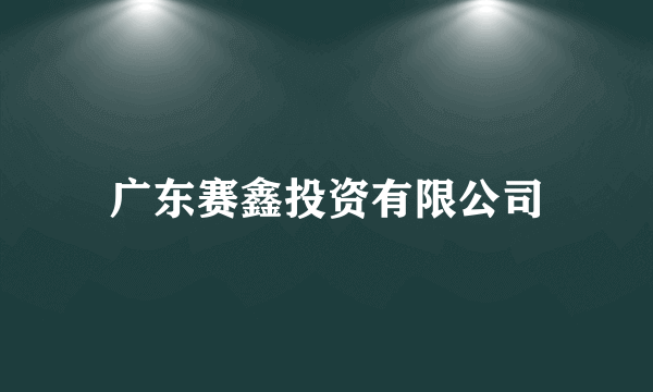 广东赛鑫投资有限公司