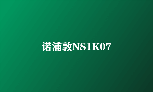 诺浦敦NS1K07