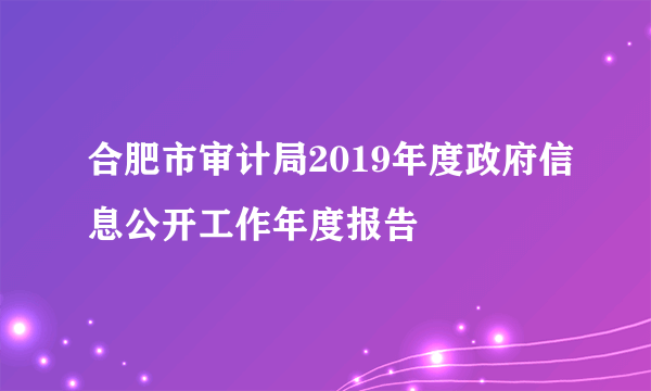 合肥市审计局2019年度政府信息公开工作年度报告