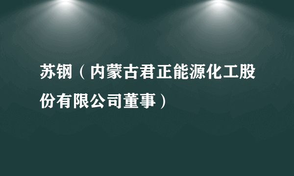 苏钢（内蒙古君正能源化工股份有限公司董事）