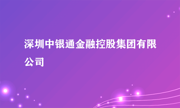 深圳中银通金融控股集团有限公司