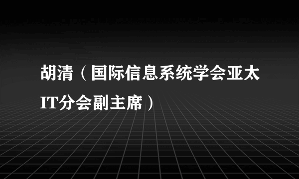 胡清（国际信息系统学会亚太IT分会副主席）