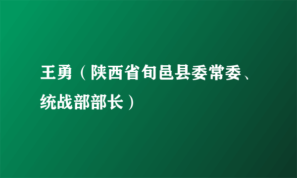 王勇（陕西省旬邑县委常委、统战部部长）