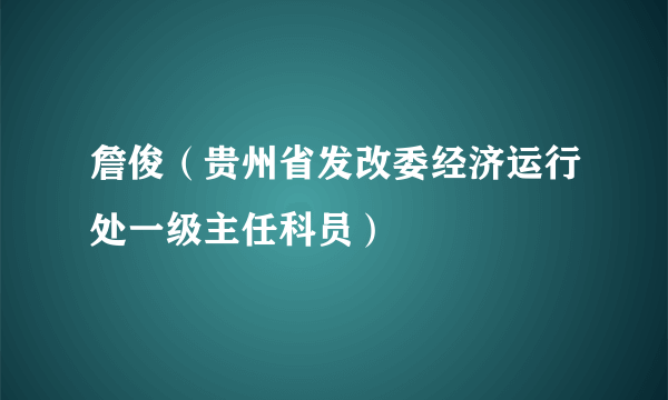 詹俊（贵州省发改委经济运行处一级主任科员）