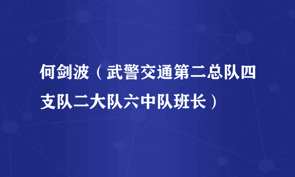 何剑波（武警交通第二总队四支队二大队六中队班长）