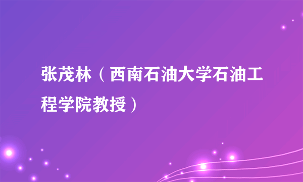 张茂林（西南石油大学石油工程学院教授）