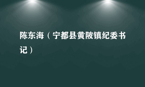 陈东海（宁都县黄陂镇纪委书记）