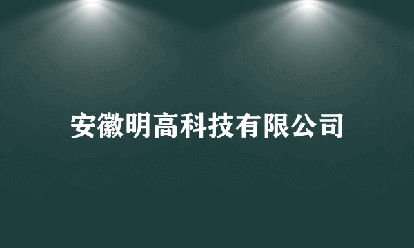 安徽明高科技有限公司