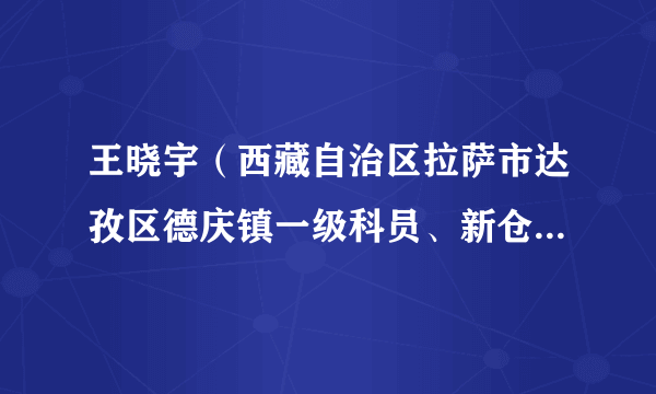 王晓宇（西藏自治区拉萨市达孜区德庆镇一级科员、新仓村党委第一书记）