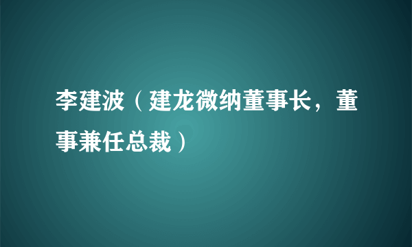 李建波（建龙微纳董事长，董事兼任总裁）