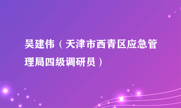 吴建伟（天津市西青区应急管理局四级调研员）