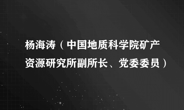 杨海涛（中国地质科学院矿产资源研究所副所长、党委委员）